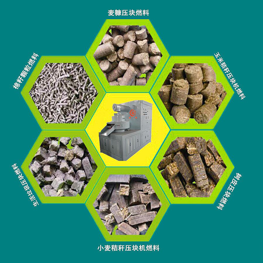 國家政策扶持，你有理由不投資生物質能源嗎？