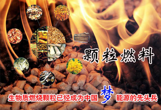 生物質(zhì)燃料顆粒多少錢一噸！
